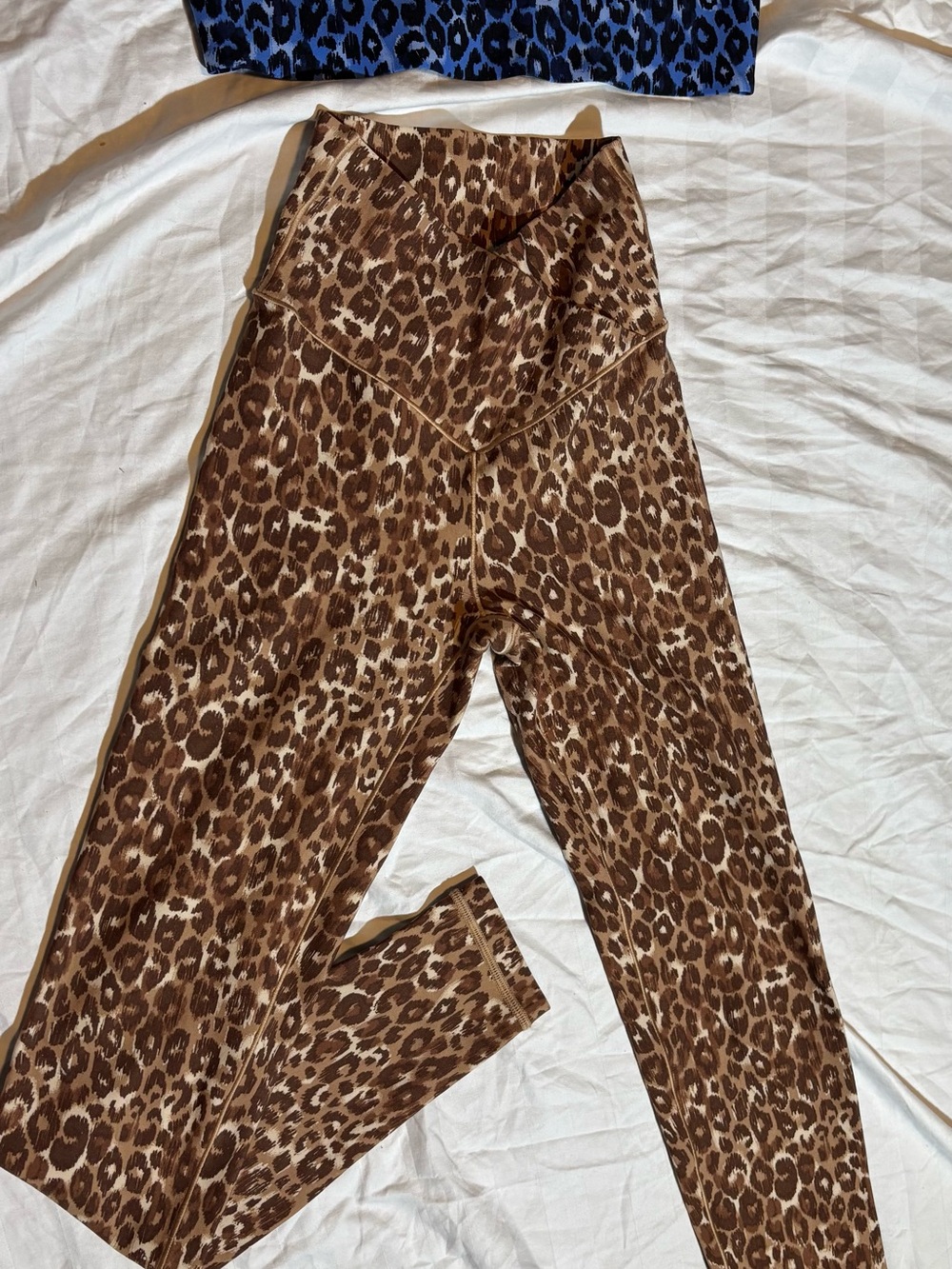 aerie Brown Leopard High-Waist Leggings & Blue Leopard Print Bra